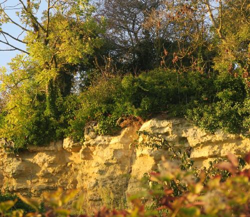 Balades Géologiques en Vexin
